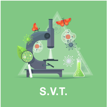 Cours SVT 2ème année BAC PC  : les phenomenes geologiques